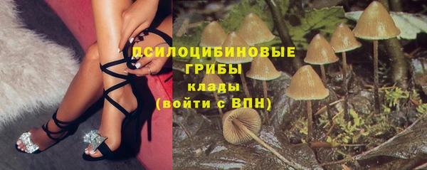 гашик Баксан